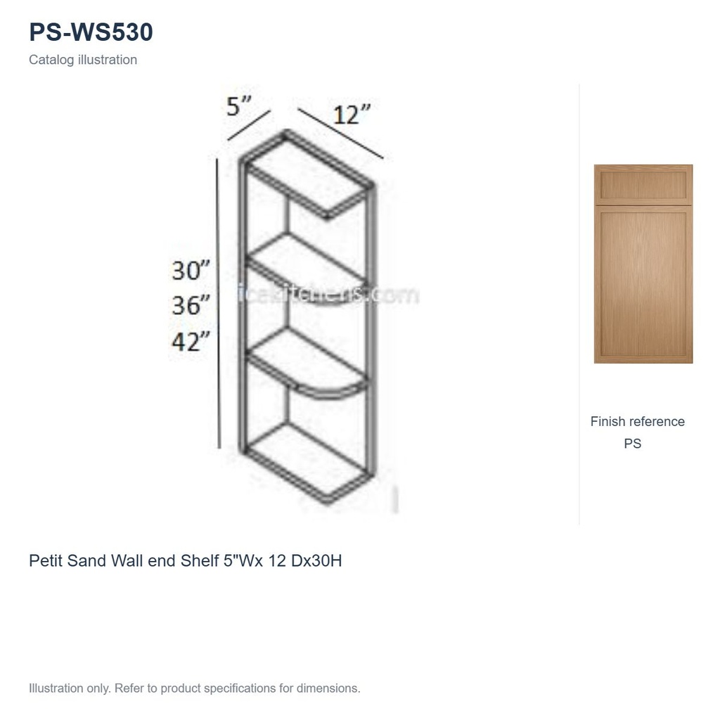 PS-WS530